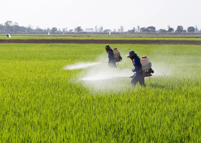 Pesticide_Blog_Picture